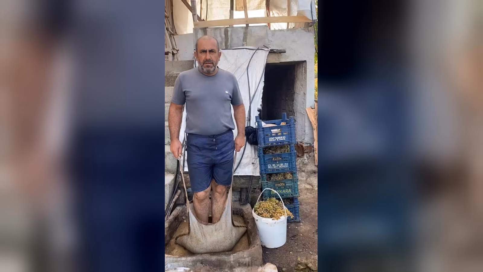 Gri tişörtlü, lacivert şortlu bir adam taş küvette üzüm ezerken bacaklarını bez bir torbanın içinde tutuyor.
