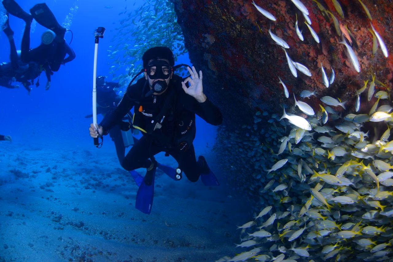 Underwater, a diver in a black wetsuit makes an OK sign beside a school of yellow fish and a reddish rock wall.