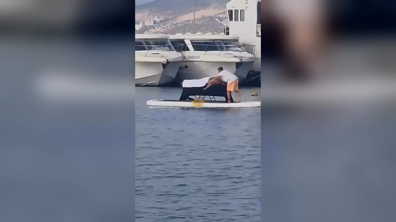 Denizde beyaz sörf tahtasının üzerinde siyah masaj yatağı var; beyaz tişörtlü bir adam yatağı düzeltiyor.